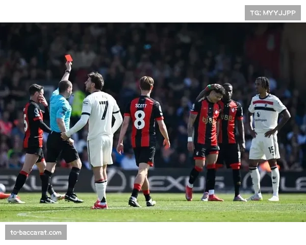 埃瓦尼尔森21次越位伯恩茅斯前锋 跑位时机把握待提升